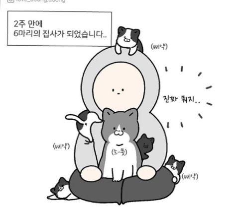manga_408558_002_d09a2f3c3c12.webp