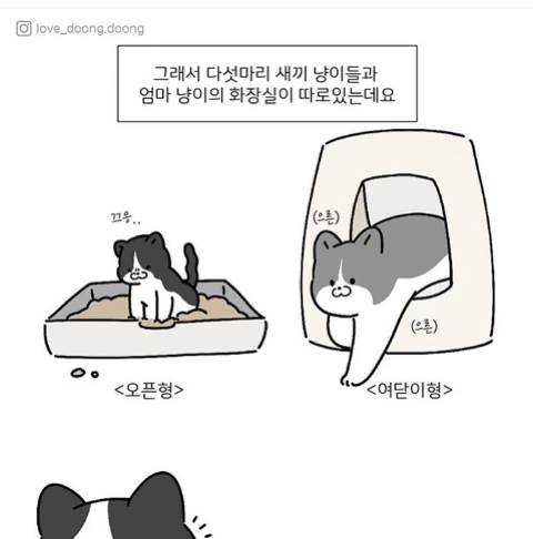 manga_408558_003_aaaf2909d65e.webp