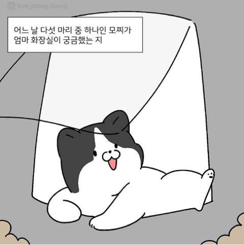 manga_408558_004_5253d230e274.webp