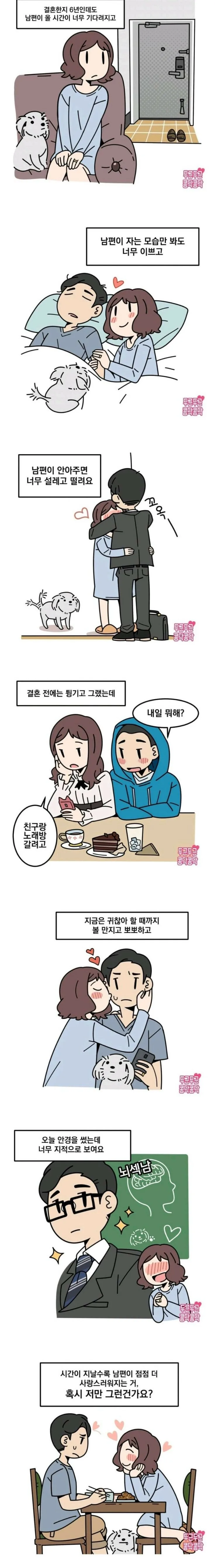 결혼 6년차 만화.manhwa