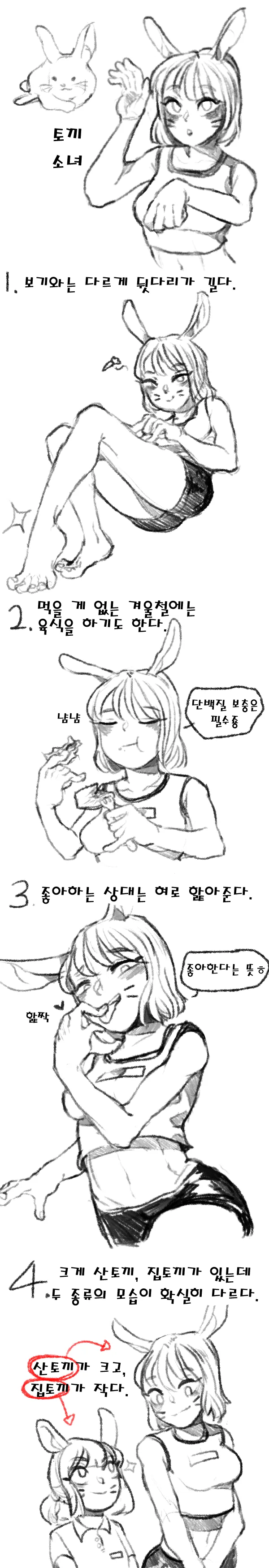 토끼 소녀.Manhwa