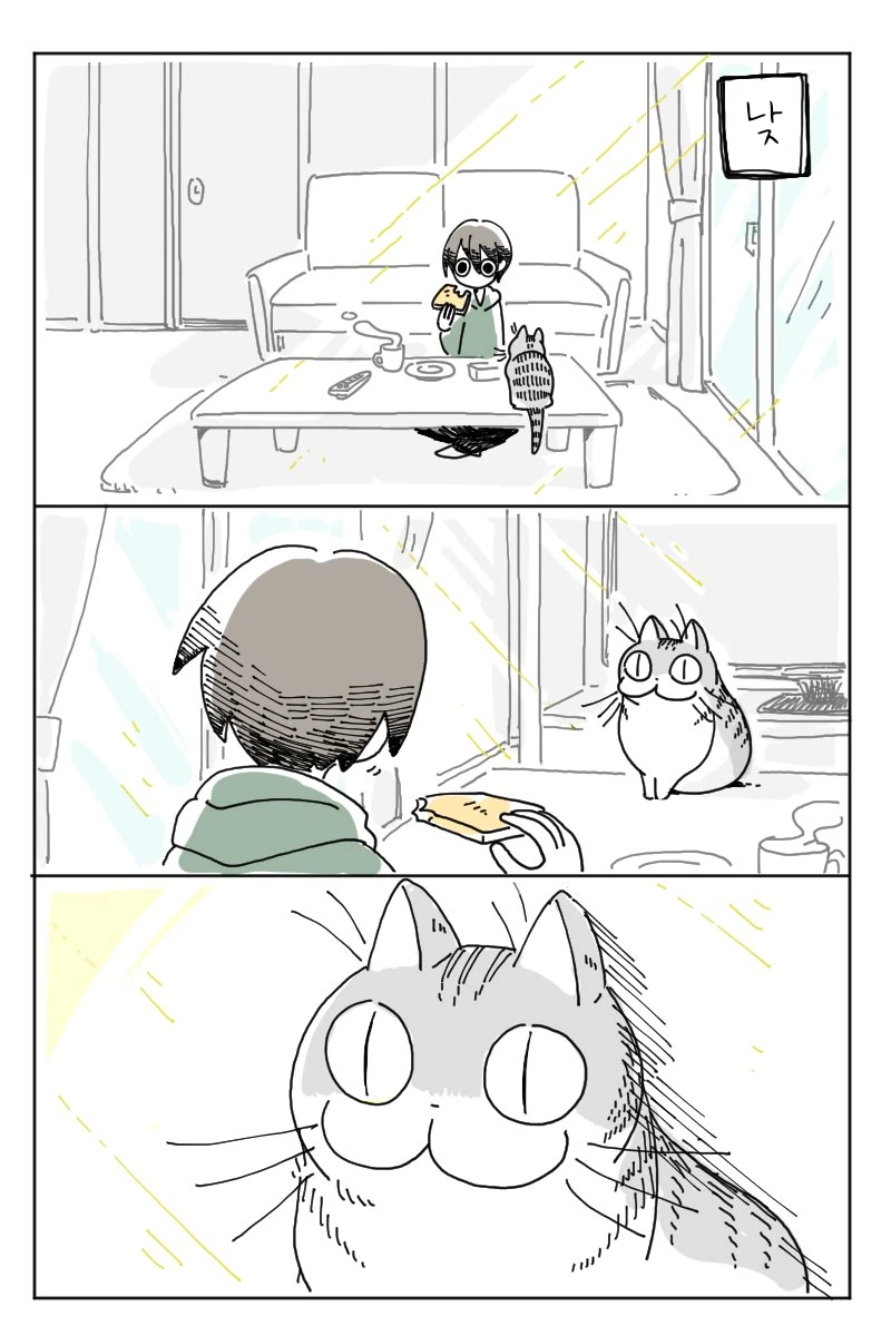리얼하게 귀여운 고양이.manhwa