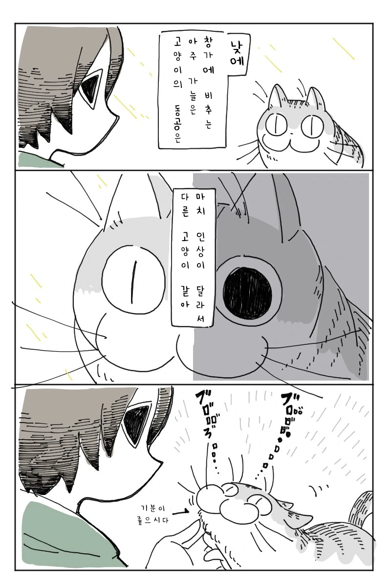 리얼하게 귀여운 고양이.manhwa - 이미지 2