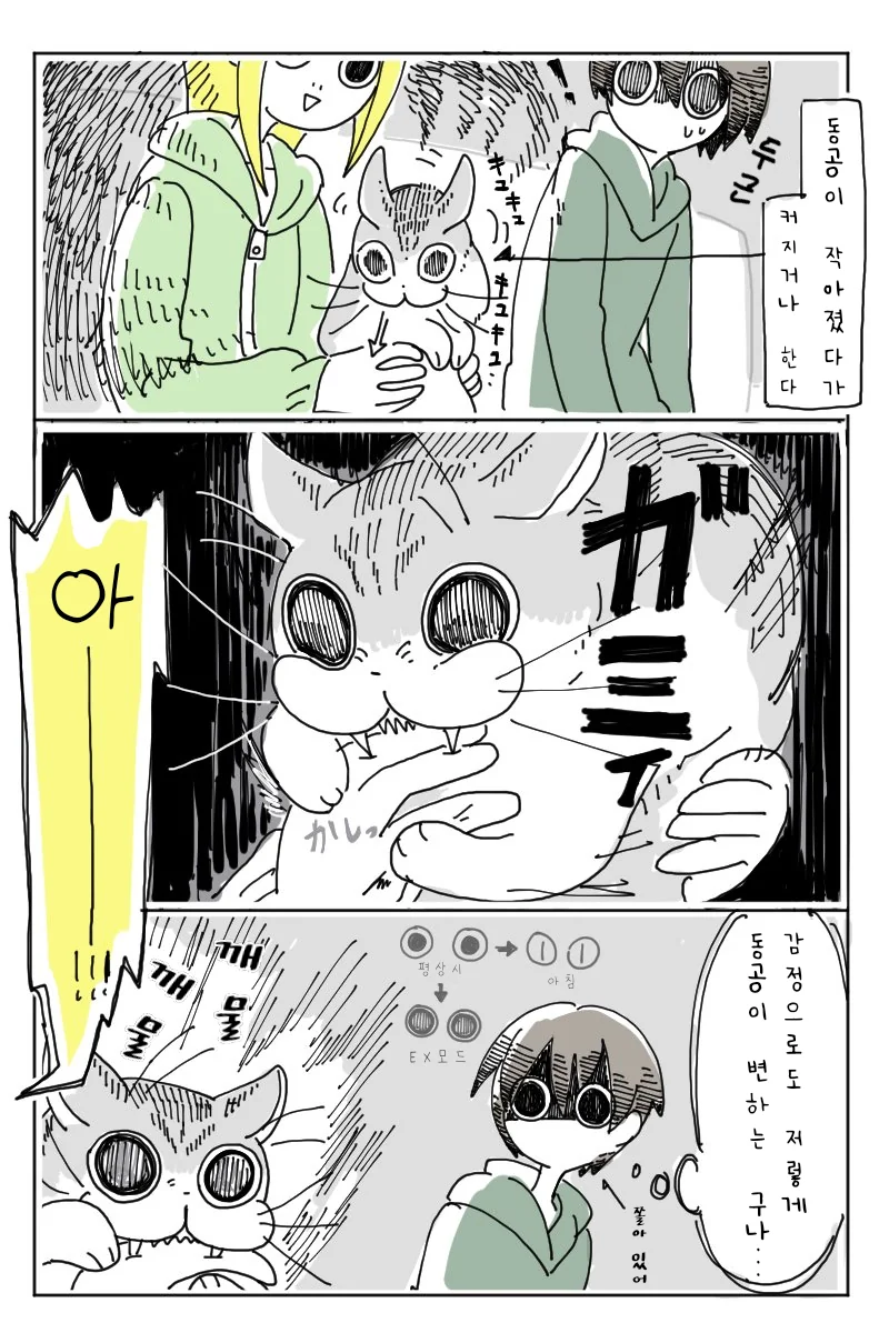 리얼하게 귀여운 고양이.manhwa - 이미지 4