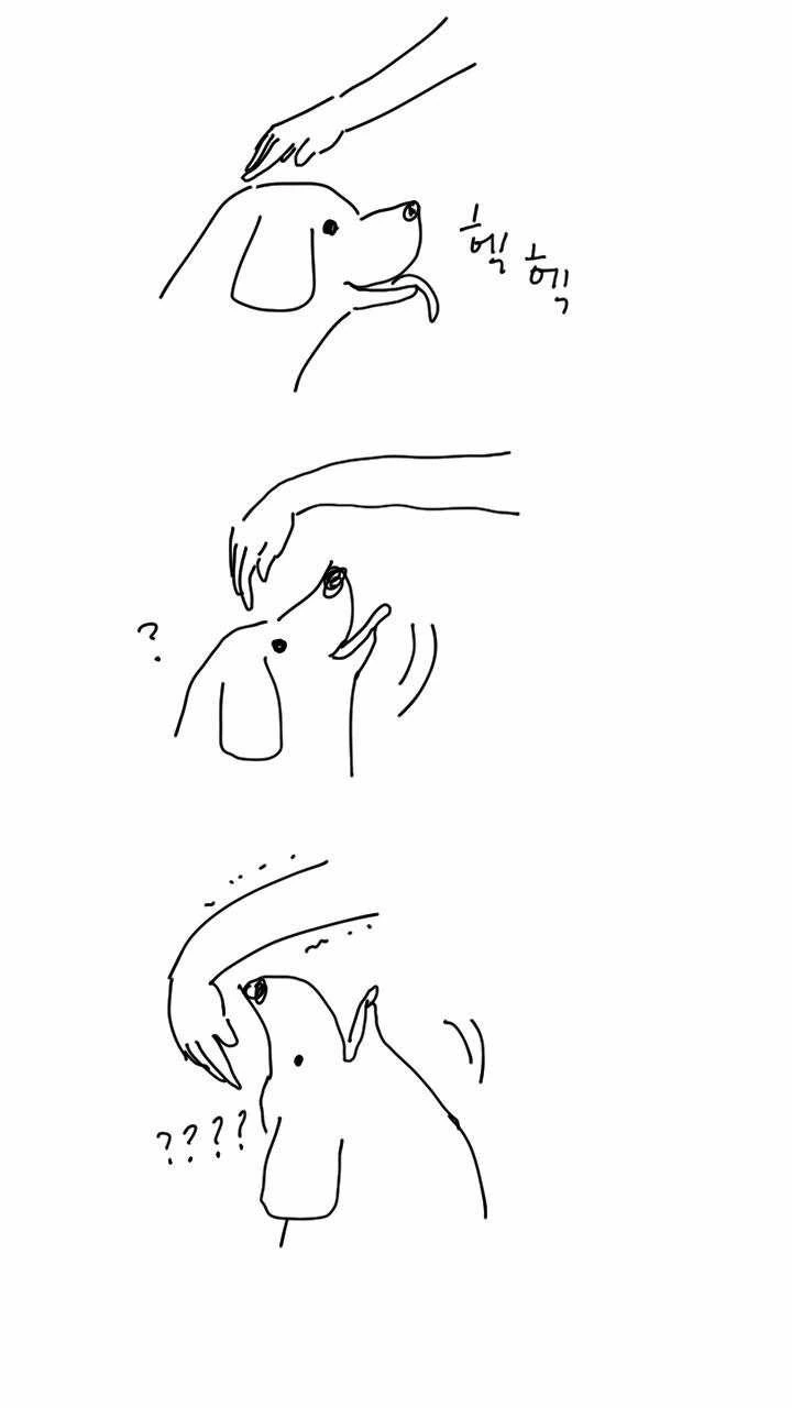 개와 고양이 만화