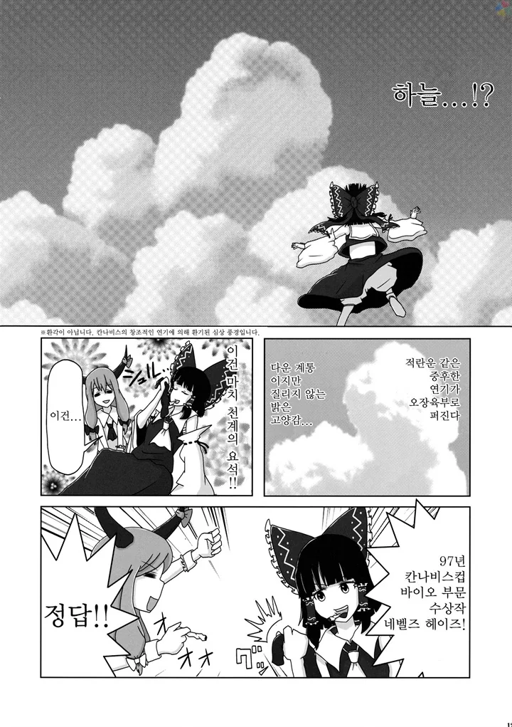 [동방]약빨고 그린듯한 manga - 이미지 8