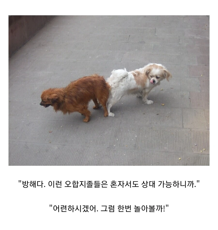 소년 만화에서 묘사하는 흔한 클리셰.manga