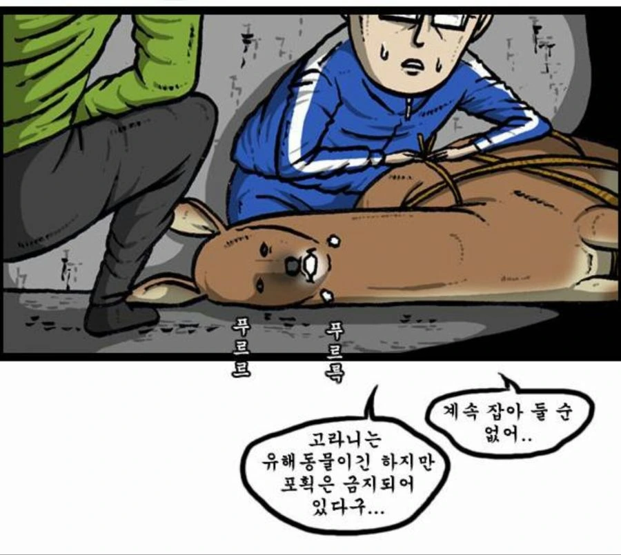 고라니 고문 하는 만화 - 이미지 2