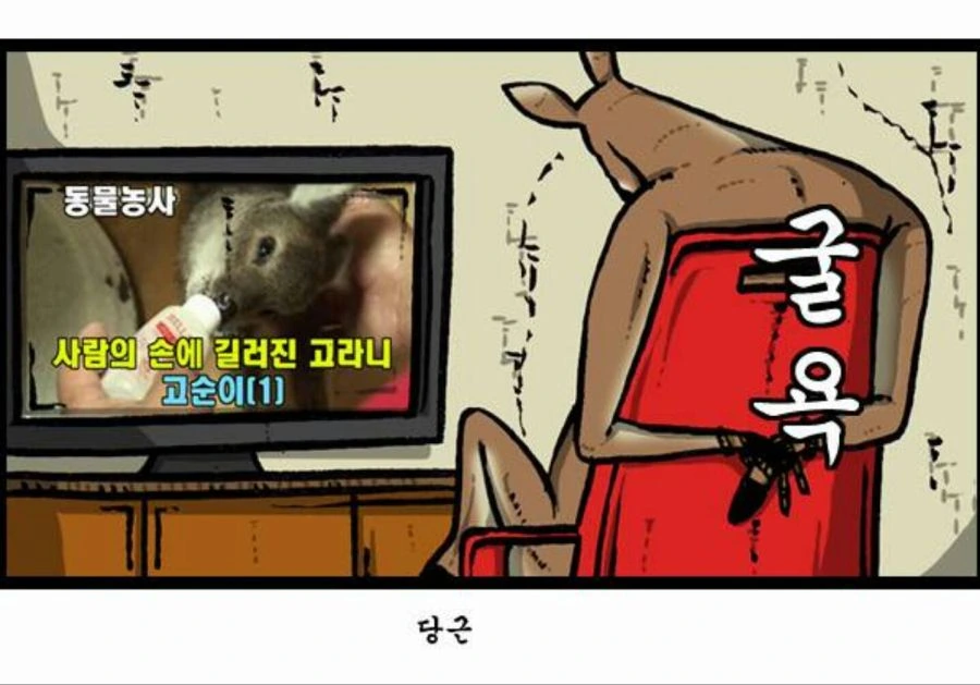 고라니 고문 하는 만화 - 이미지 6