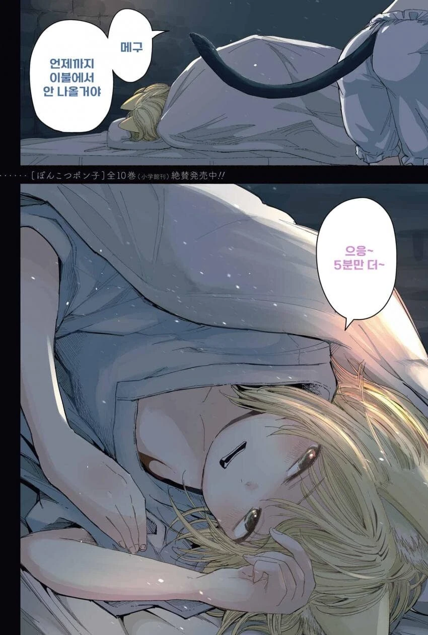 고양이 수녀원의 일상 Manwha - 이미지 2