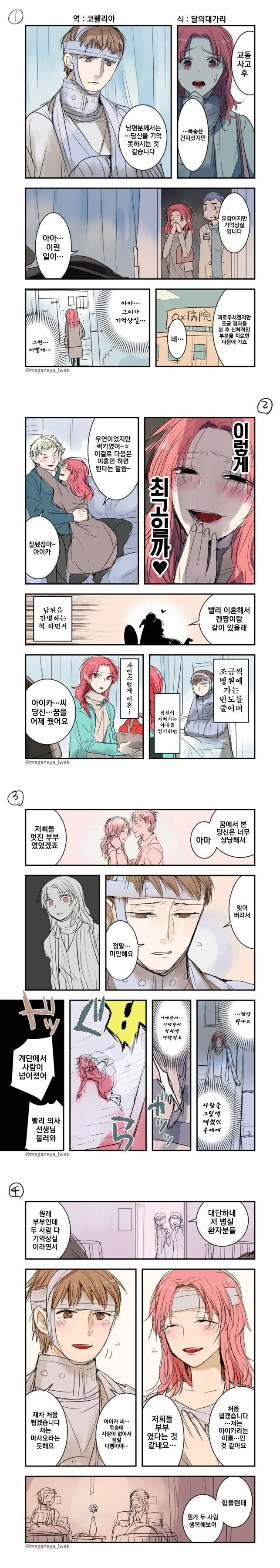 기억상실증에 걸려서 차라리 더 행복한 부부 만화