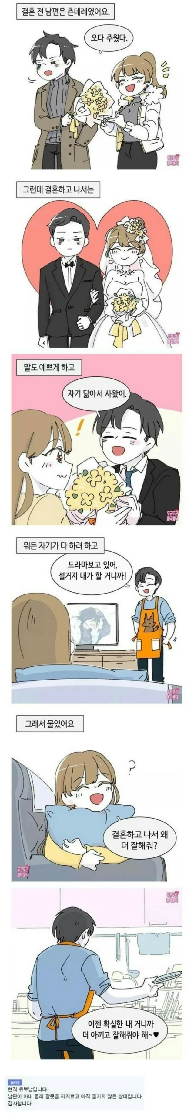결혼 후 달라진 남편 만화
