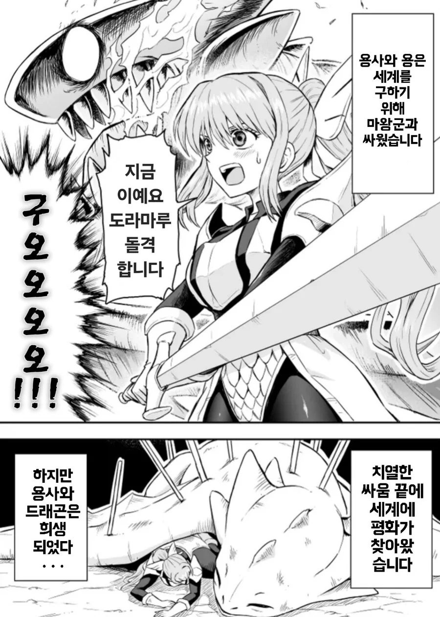 환생한 용사와 드래곤 만화