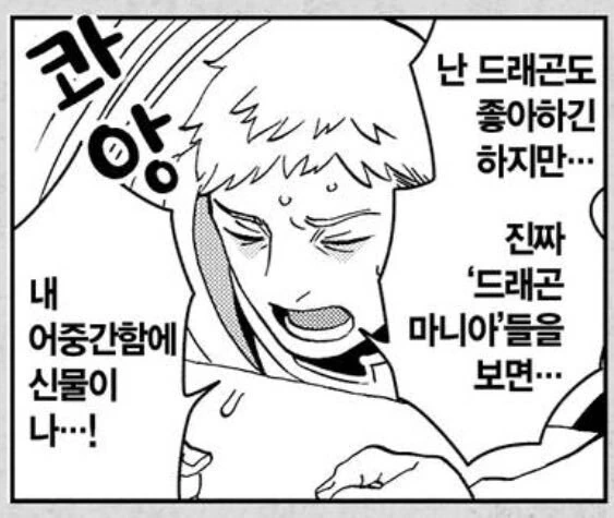 드래곤이 ㅇㄴ홀을 빌려달라는 만화 - 이미지 2