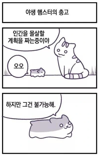 인간을 몰살시키려는 고양이 만화.manhwa - 이미지 3