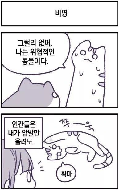 인간을 몰살시키려는 고양이 만화.manhwa - 이미지 5