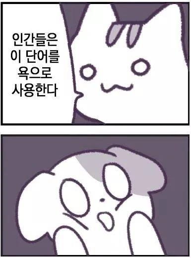 인간을 몰살시키려는 고양이 만화.manhwa - 이미지 10