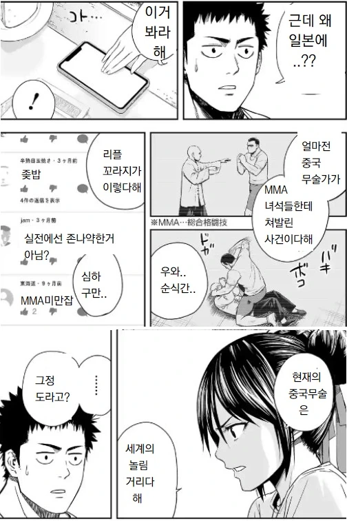 중국인은 못 보는 중국권법 만화