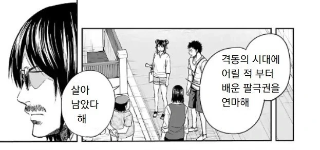 중국인은 못 보는 중국권법 만화 - 이미지 11
