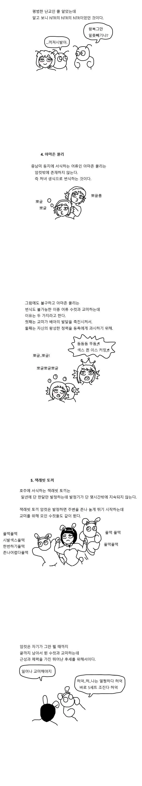 신비로운 짝짓기의 세계- 동물편.manwha - 이미지 3