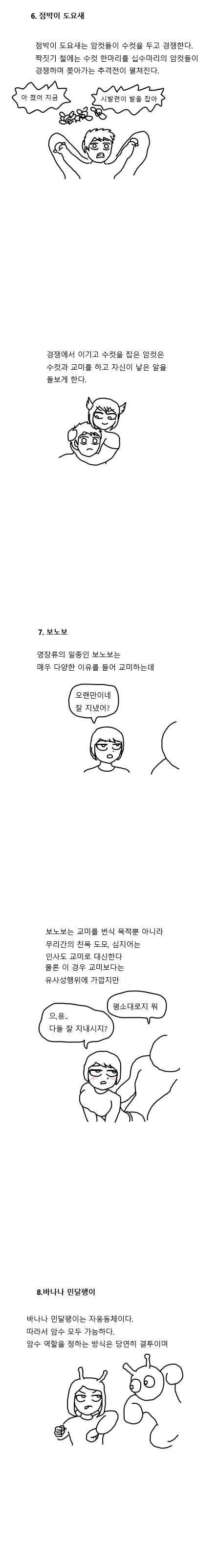 신비로운 짝짓기의 세계- 동물편.manwha - 이미지 4