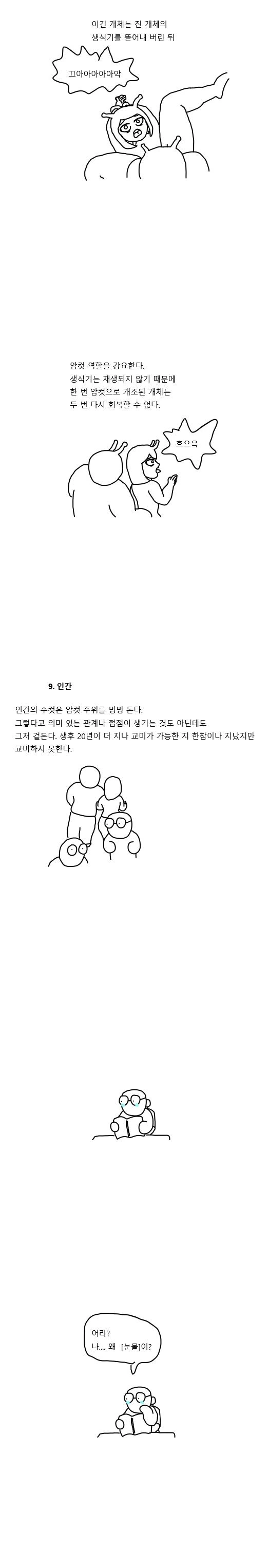 신비로운 짝짓기의 세계- 동물편.manwha - 이미지 5