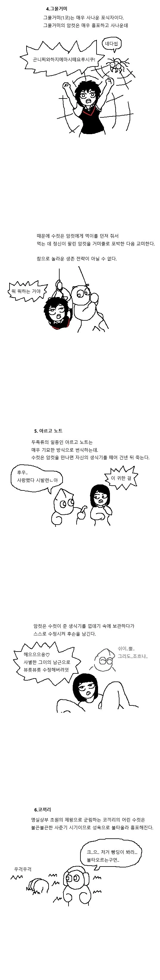 신비로운 짝짓기의 세계- 동물편.manwha - 이미지 9
