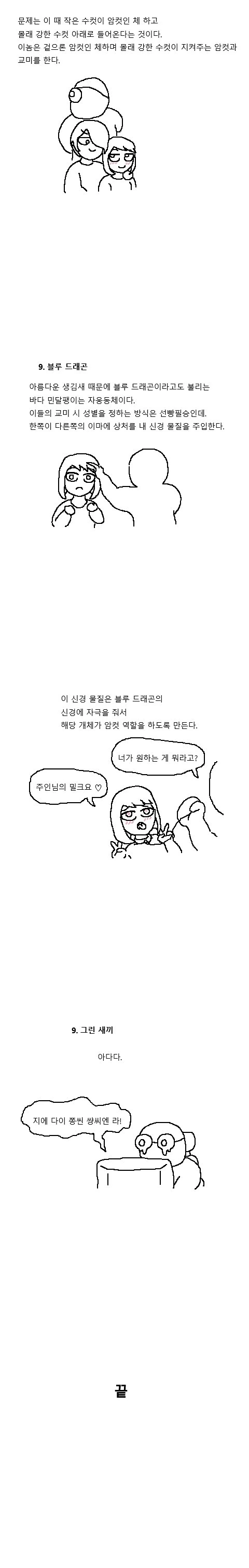 신비로운 짝짓기의 세계- 동물편.manwha - 이미지 11