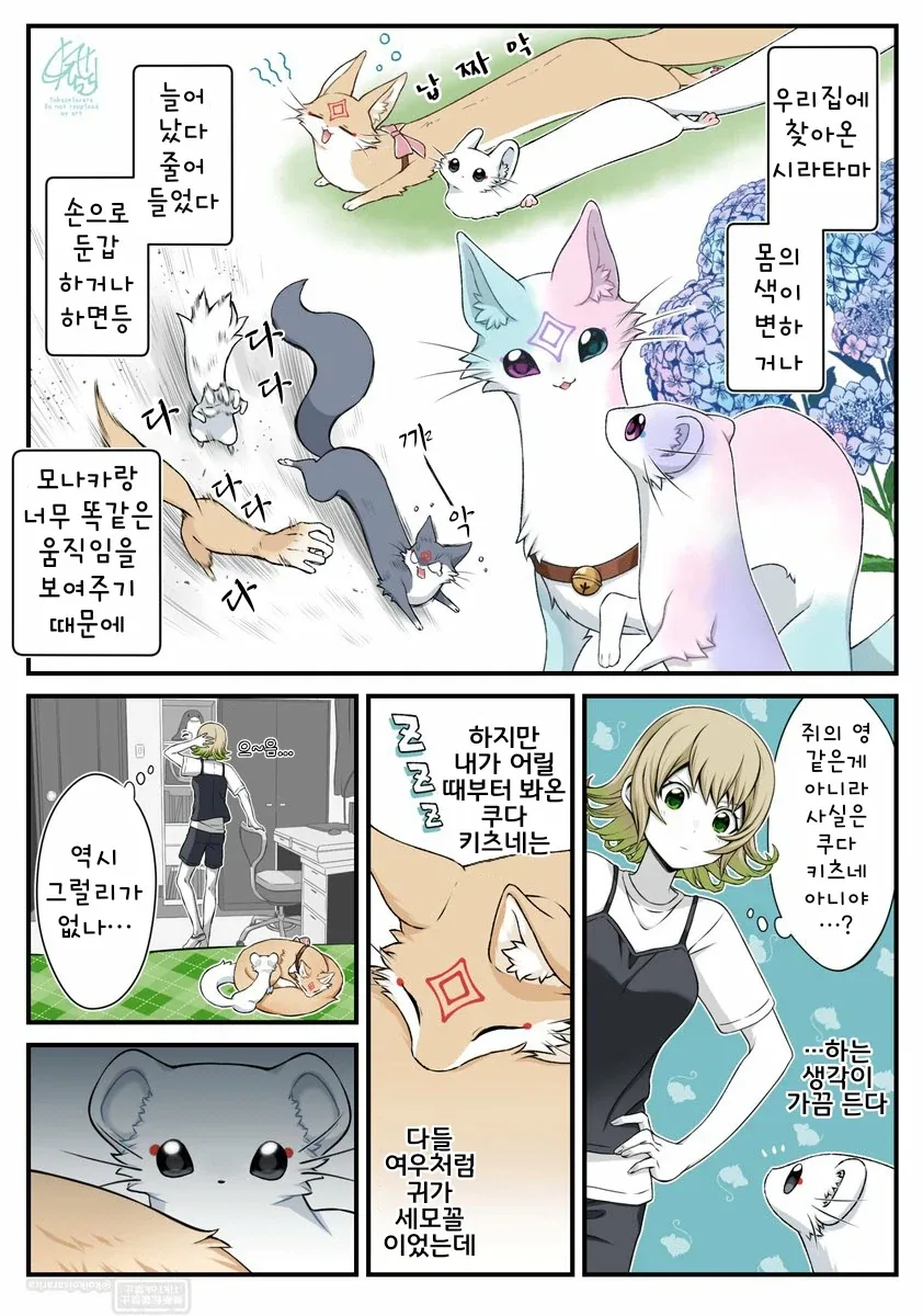 대롱여우 베리가 미녀로 둔갑하는 이유.manhwa