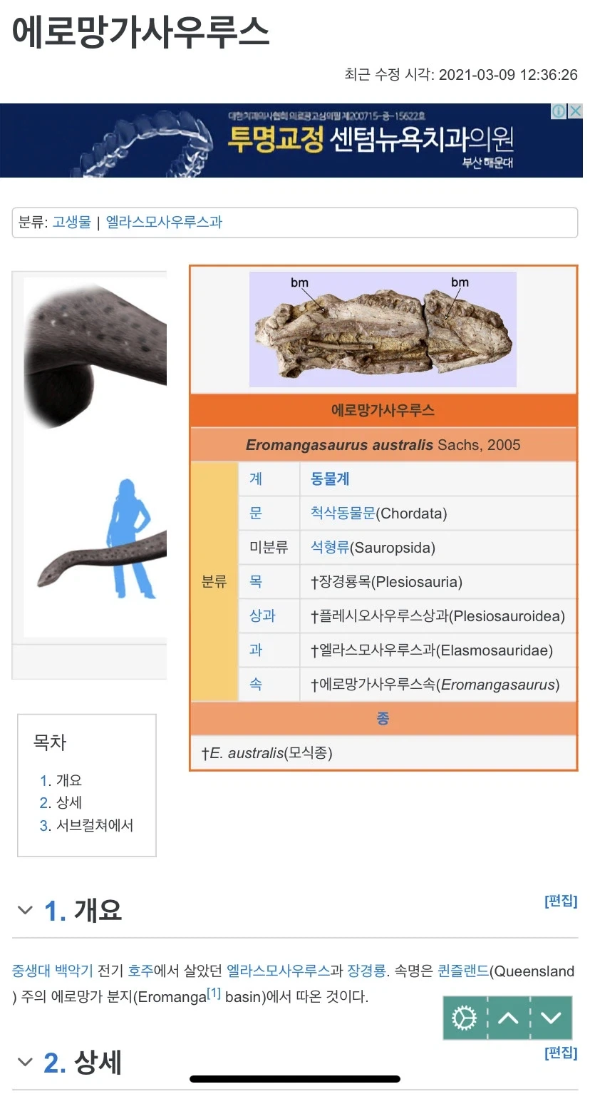 호주 ㅇㄹ망가ㅂㅈ에서 발견된 것