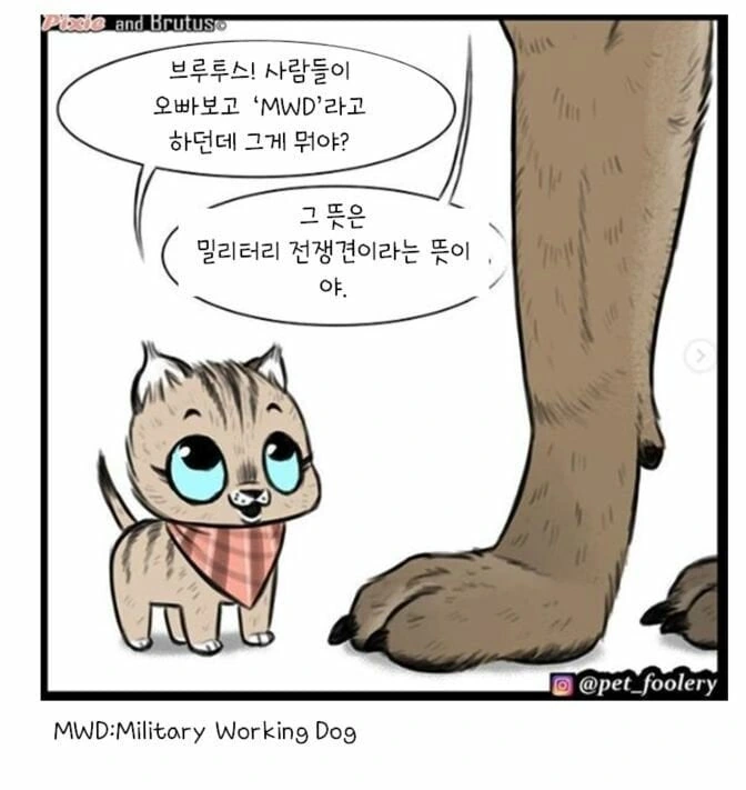 아기고양이와 은퇴군견manga - 이미지 3