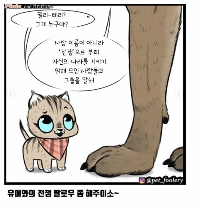 아기고양이와 은퇴군견manga - 이미지 4