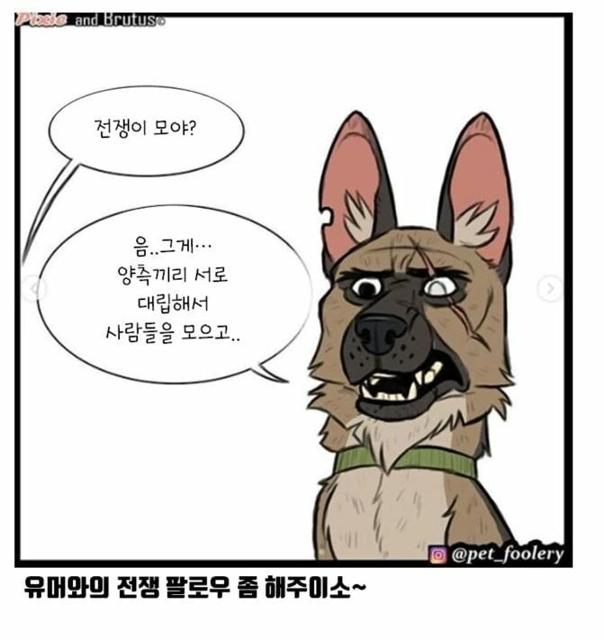 아기고양이와 은퇴군견manga - 이미지 5