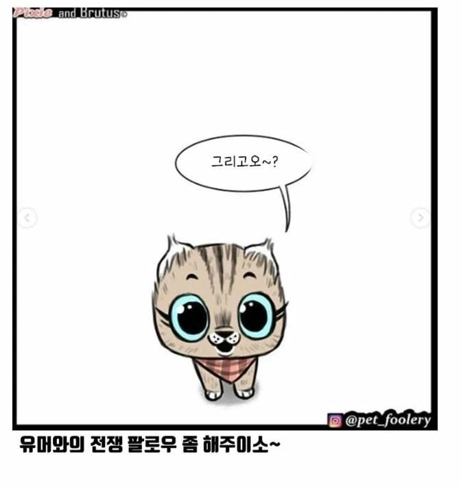 아기고양이와 은퇴군견manga - 이미지 7