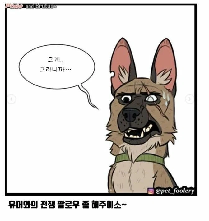 아기고양이와 은퇴군견manga - 이미지 8