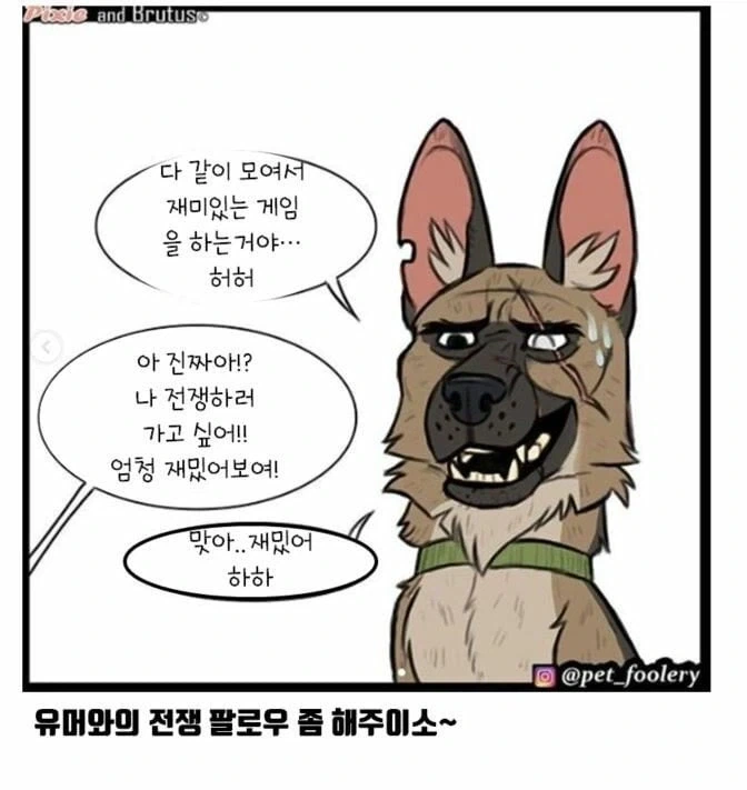 아기고양이와 은퇴군견manga - 이미지 9