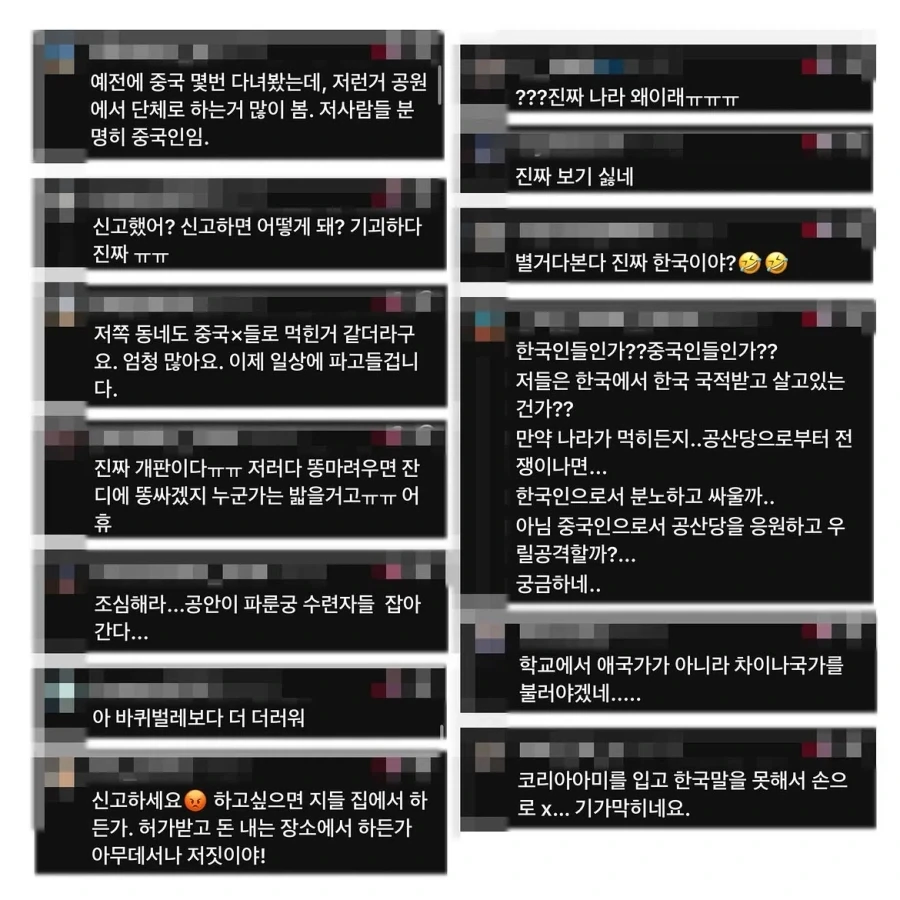 변호사가 참가하는 태극권 모임을 중국인이라 올린 악플.manwha - 이미지 12