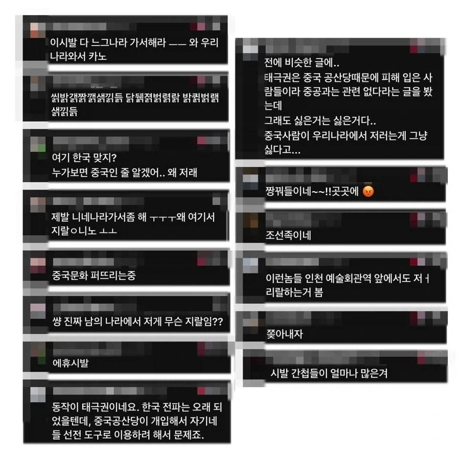 중국인으로 몰린 태극권 모임.manwha - 이미지 11