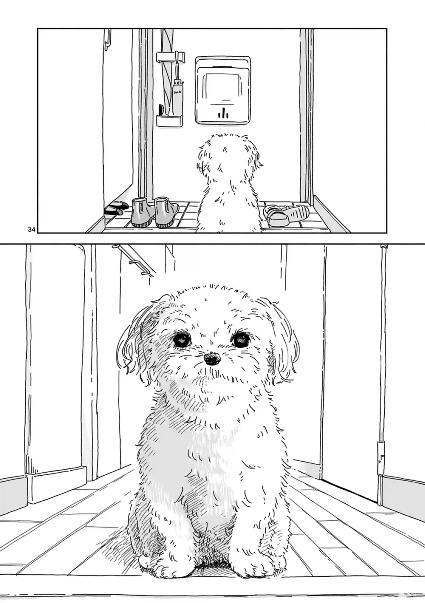만약 키우던 강아지가 말을 한다면... manhwa - 이미지 32