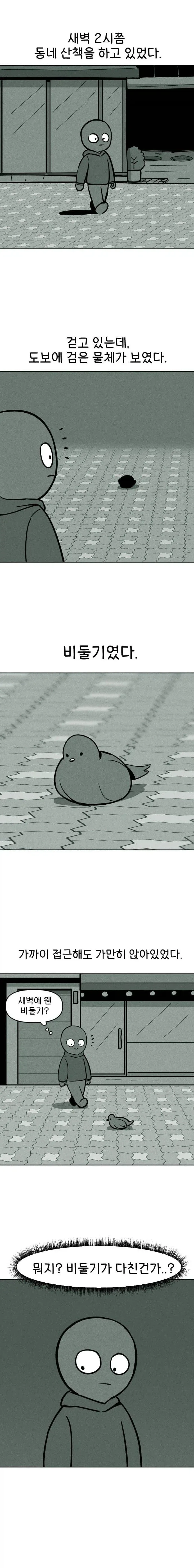 비둘기 구조하는 manhwa.