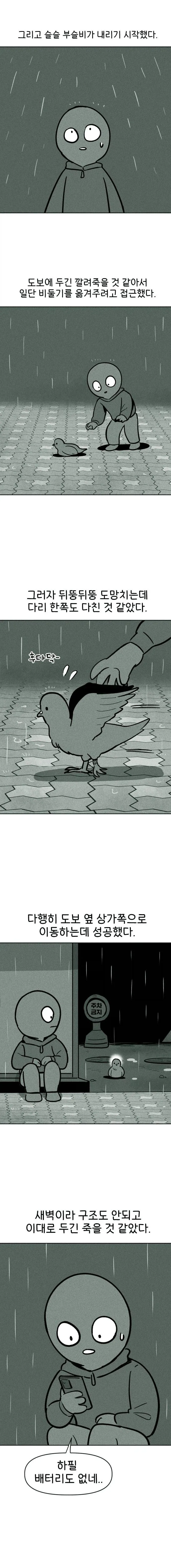 비둘기 구조하는 manhwa. - 이미지 3