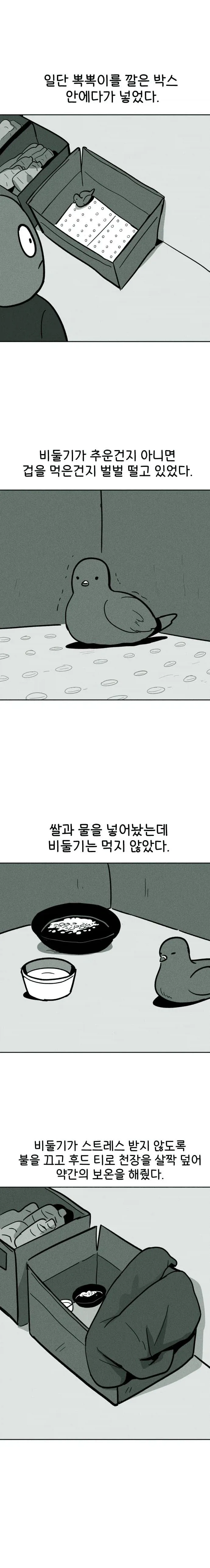 비둘기 구조하는 manhwa. - 이미지 6