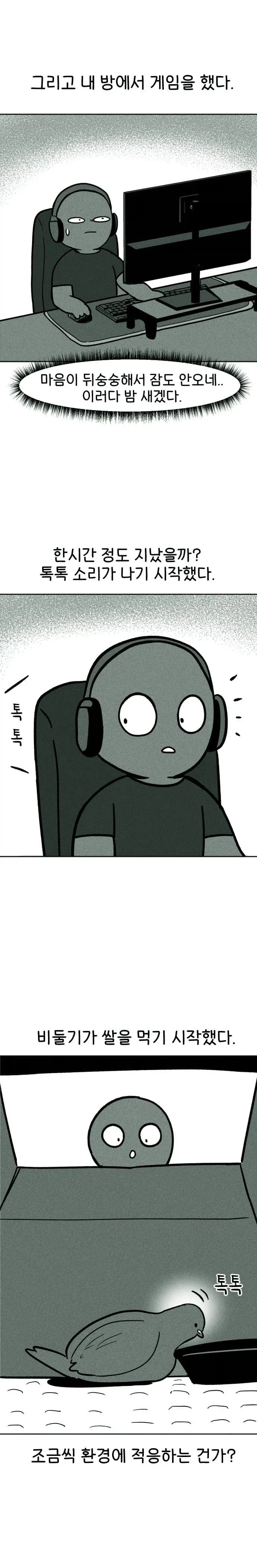 비둘기 구조하는 manhwa. - 이미지 7