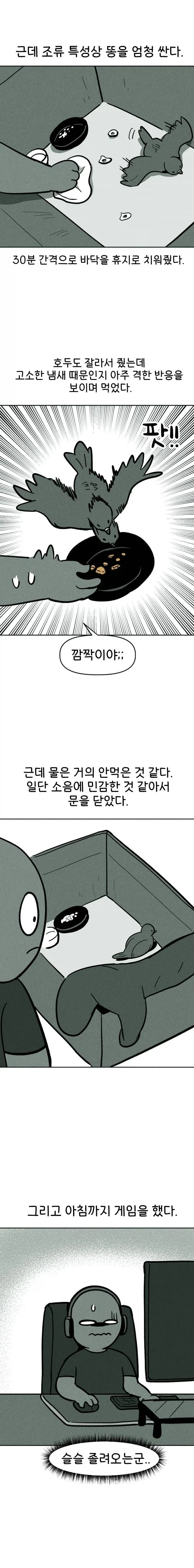 비둘기 구조하는 manhwa. - 이미지 8