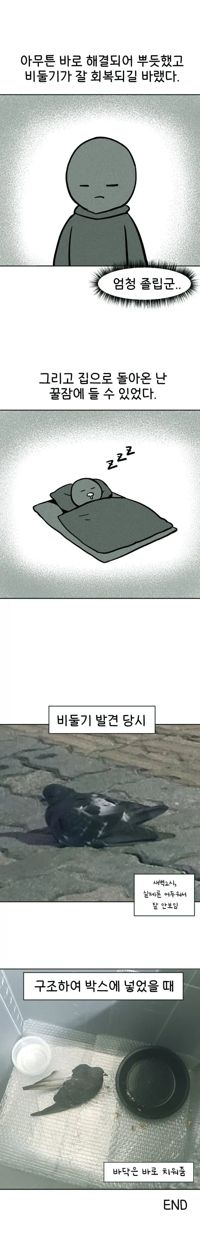 비둘기 구조하는 manhwa. - 이미지 12