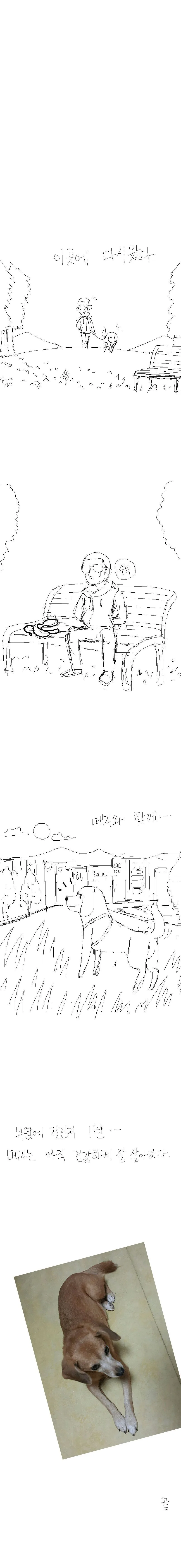 8년 키우던 강아지 안락사 시키는 만화 - 이미지 10