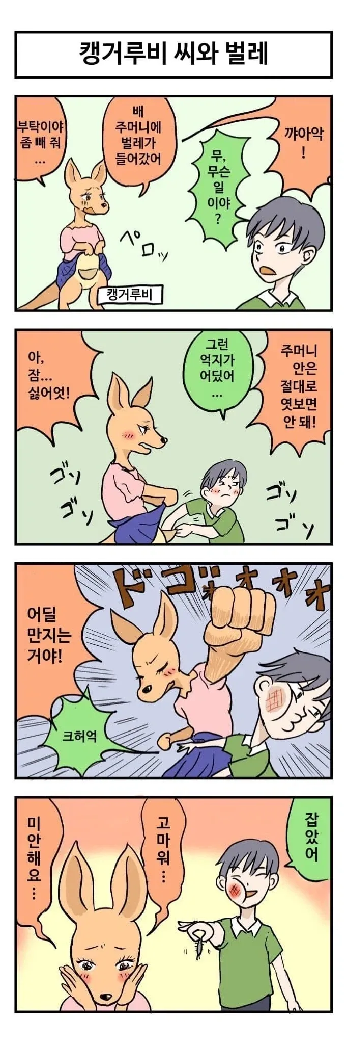 캥거루랑 결혼하는 만화 - 이미지 2