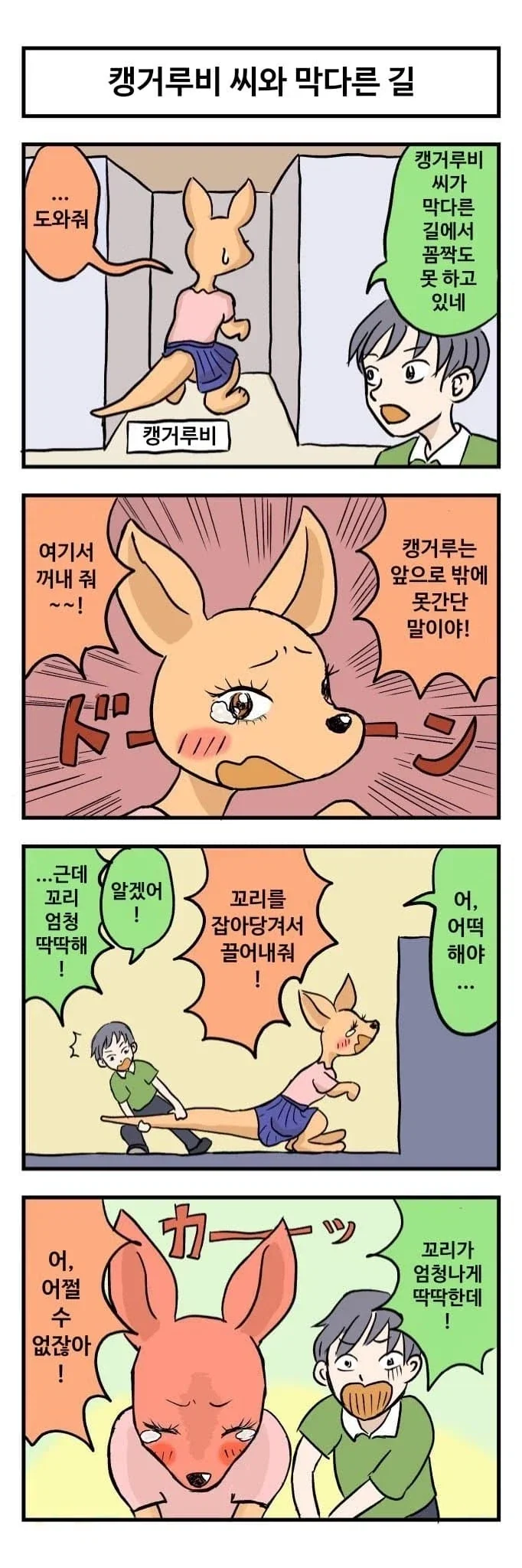 캥거루랑 결혼하는 만화 - 이미지 3