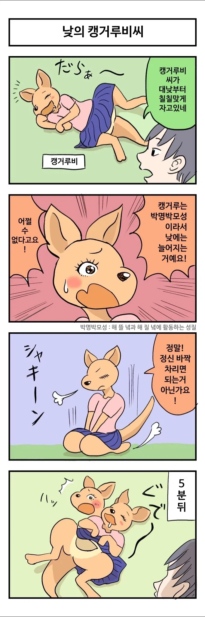 캥거루랑 결혼하는 만화 - 이미지 4