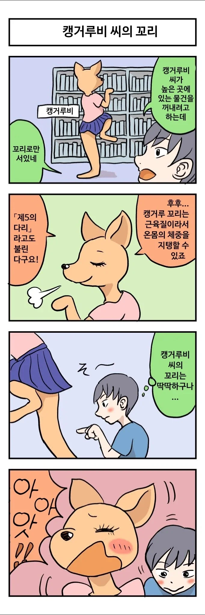캥거루랑 결혼하는 만화 - 이미지 5